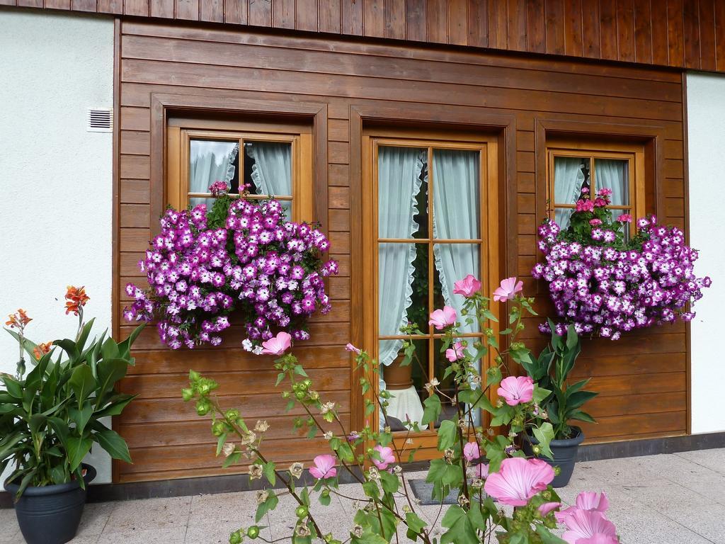 Haus Silvia Werfenweng